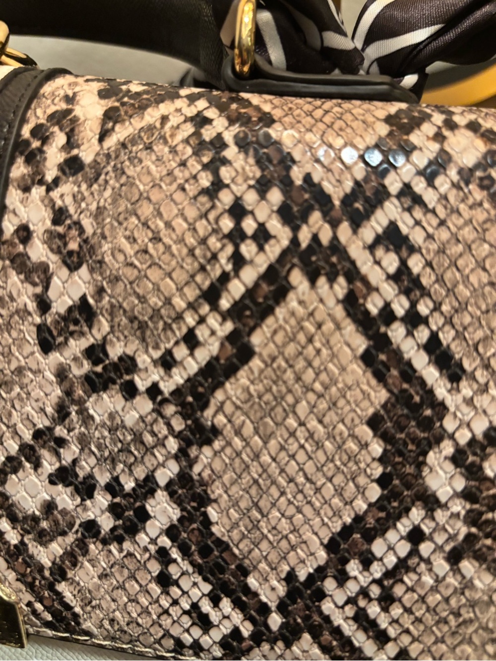 Structured Top-Handle Snake-Print Satchel in Black & Cream - Picture 7 of 8